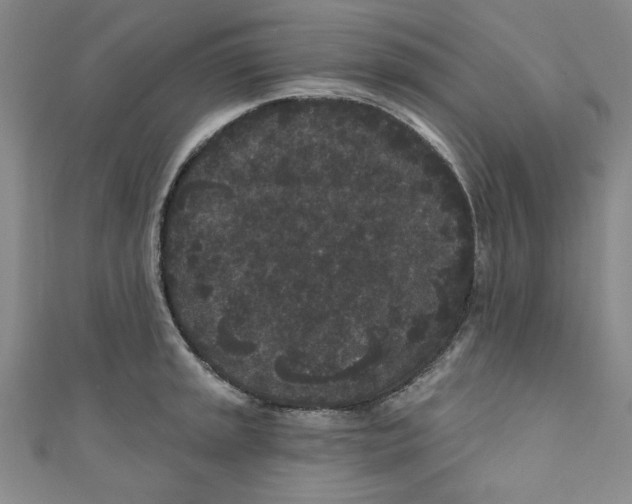 X0000110941045200907171604