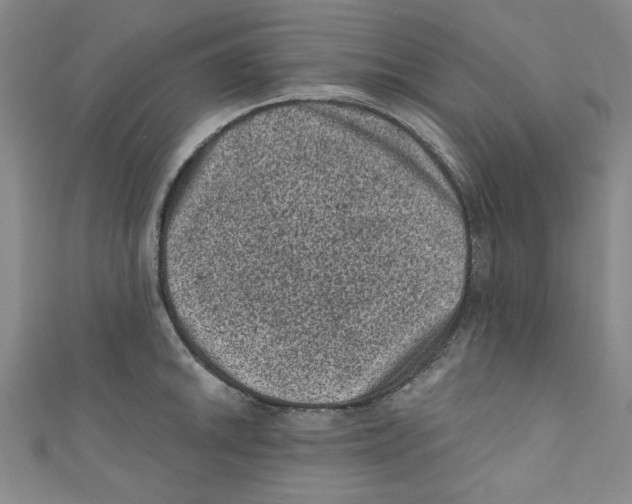 X0000110941046200907171604