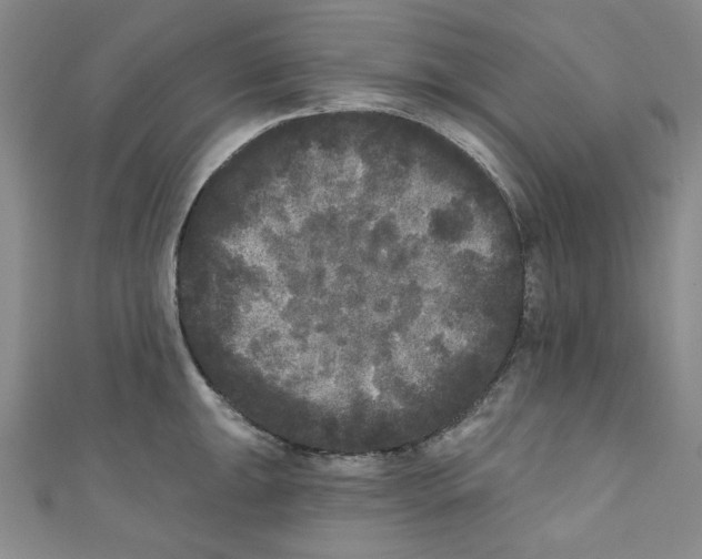 X0000110941047200907171604