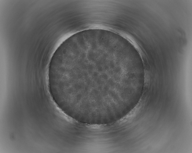 X0000110941048200907171604