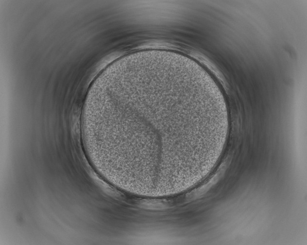 X0000110941049200907171604