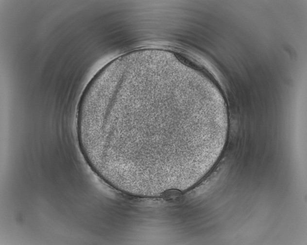 X0000110941050200907171604