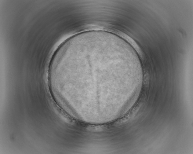 X0000110941051200907171604