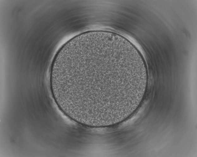 X0000110941053200907171604
