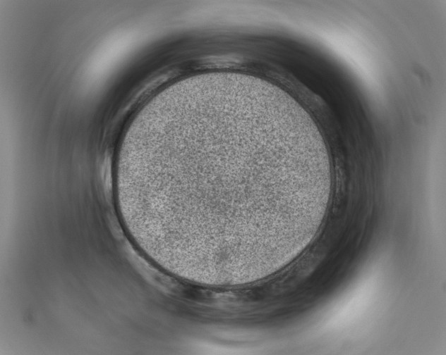 X0000110941054200907171604