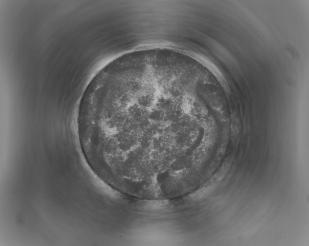X0000110941055200907171604