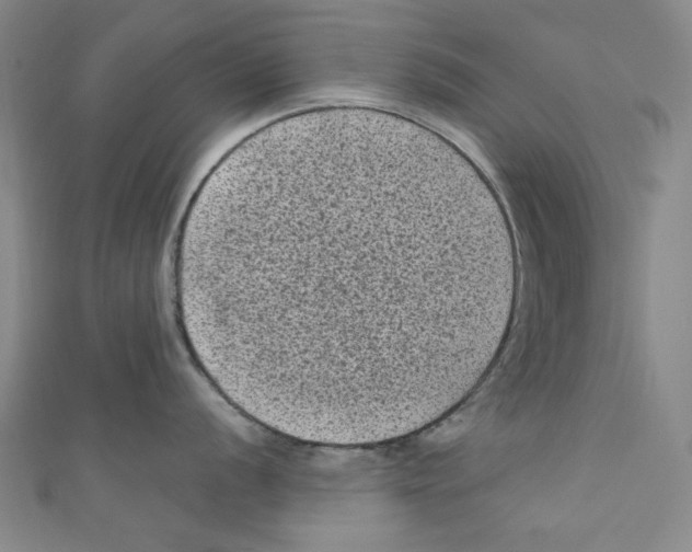 X0000110941056200907171604