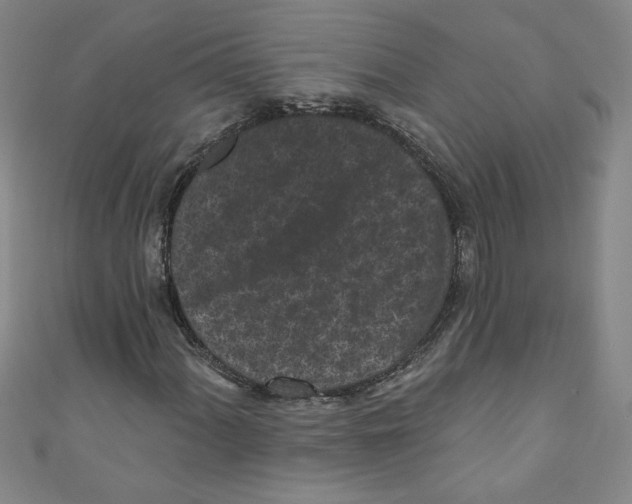 X0000110941060200907171603