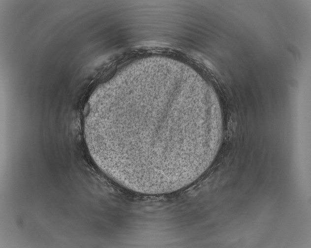X0000110941062200907171603