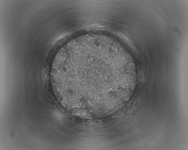X0000110941063200907171603