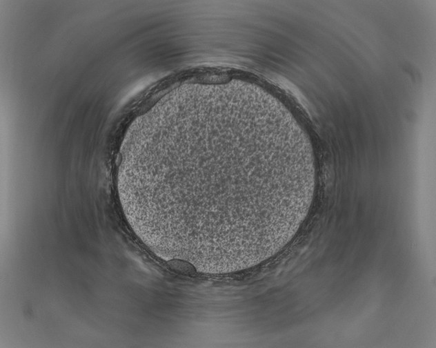 X0000110941064200907171603