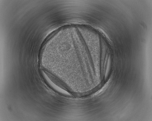 X0000110941065200907171603