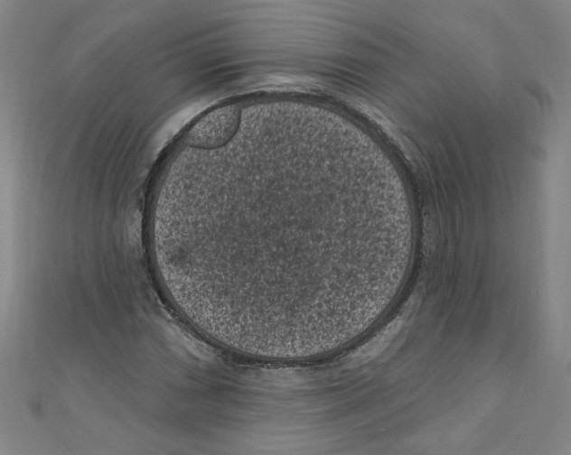 X0000110941066200907171603
