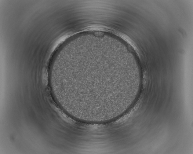 X0000110941067200907171603