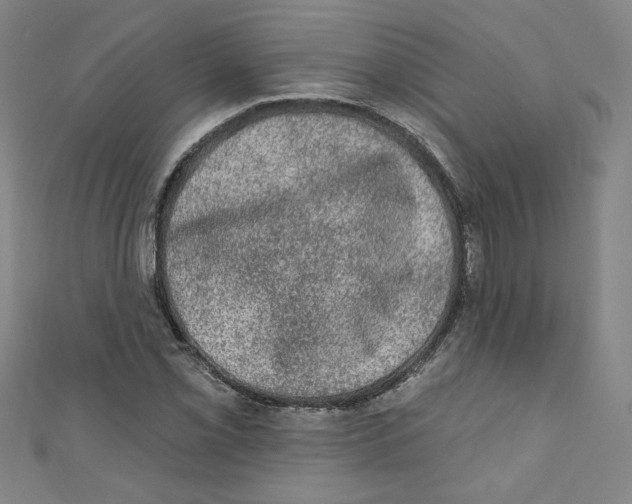 X0000110941069200907171603