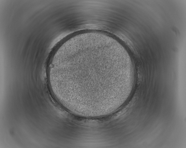 X0000110941070200907171603