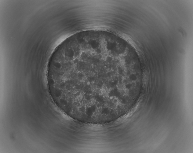 X0000110941071200907171603