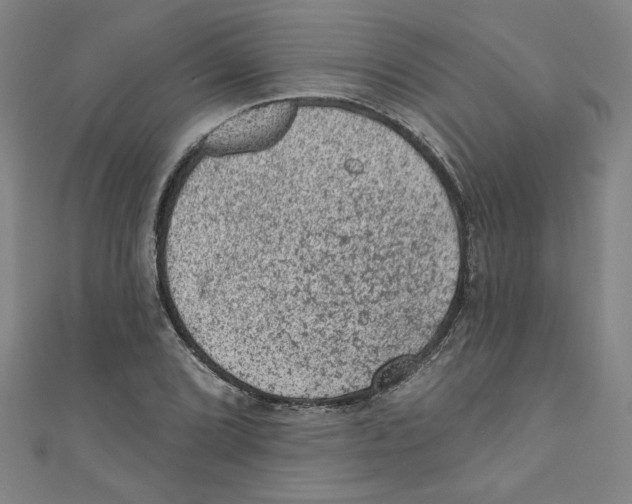 X0000110941072200907171603
