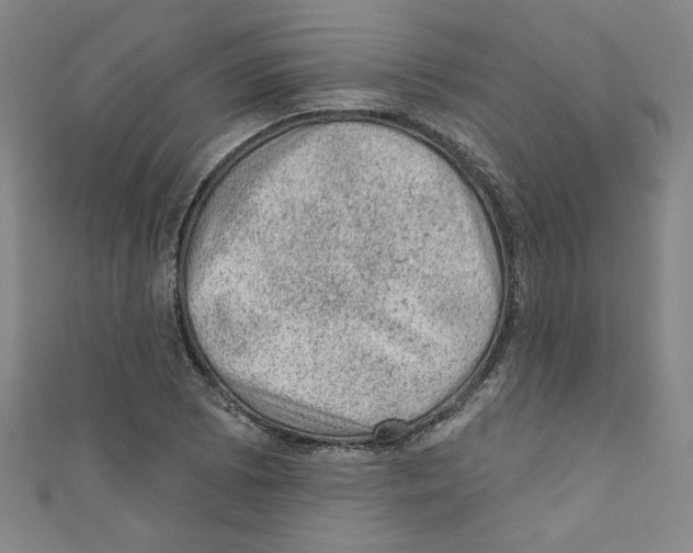 X0000110941073200907171603