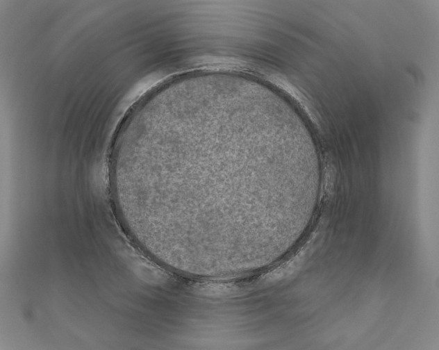 X0000110941074200907171603