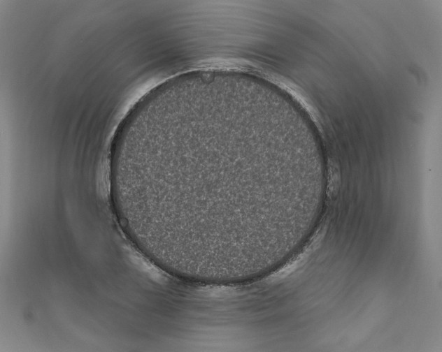 X0000110941075200907171603