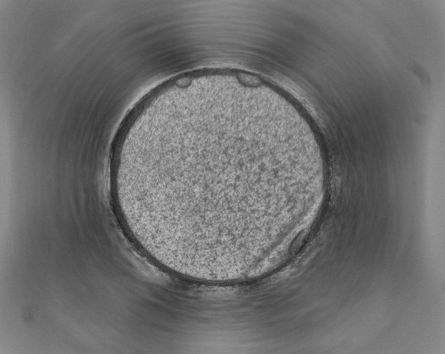 X0000110941076200907171603