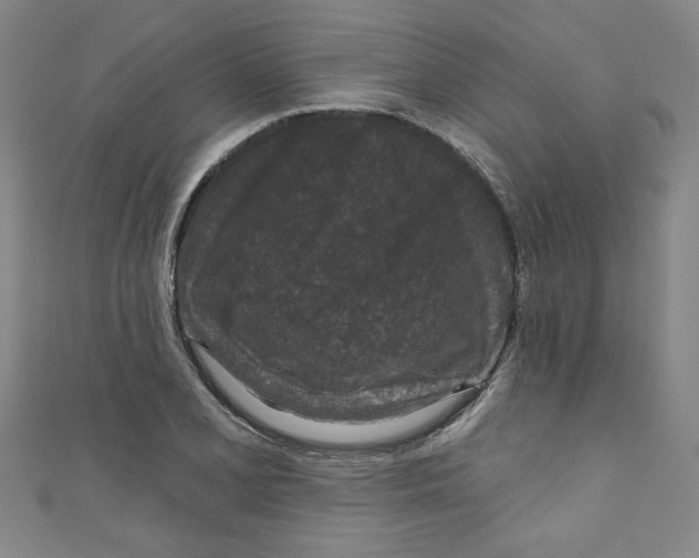 X0000110941077200907171603