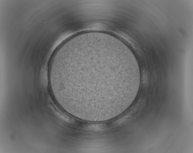 X0000110941078200907171603