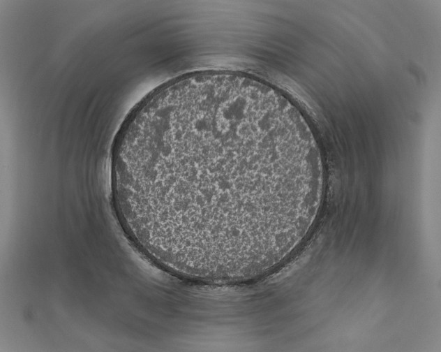 X0000110941079200907171603
