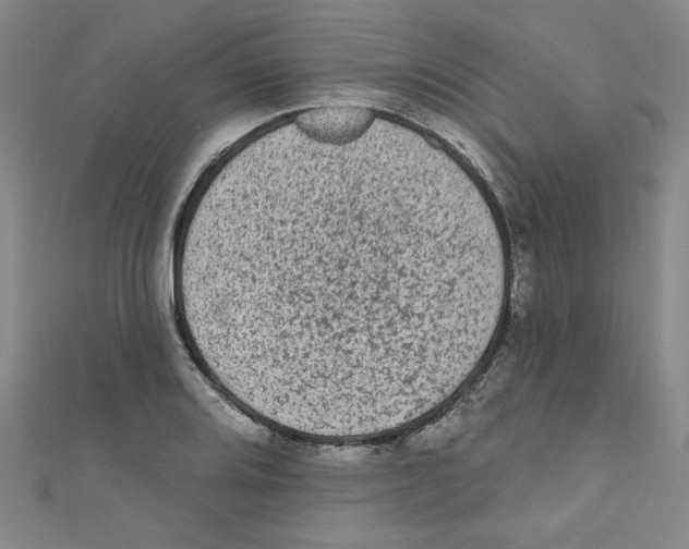 X0000110941080200907171603