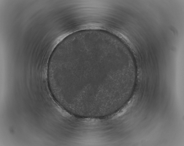 X0000110941081200907171603