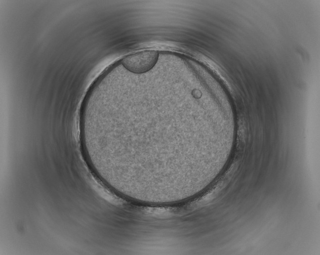 X0000110941082200907171603