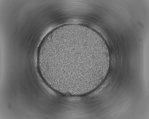 X0000110941083200907171603