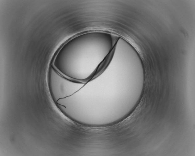 X0000110941084200907171603