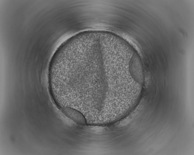 X0000110941085200907171603