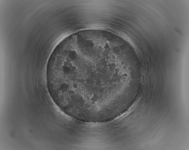 X0000110941087200907171603