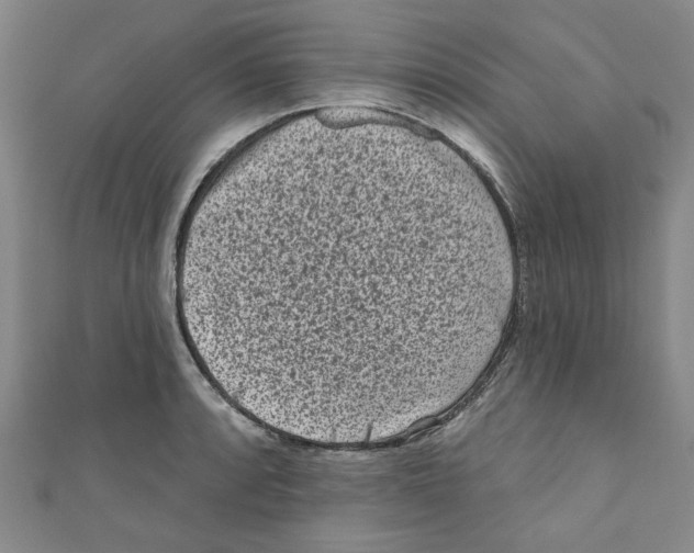 X0000110941088200907171603