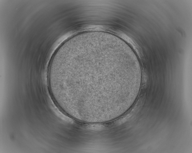 X0000110941090200907171603
