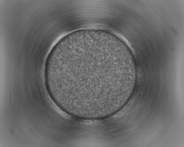 X0000110941091200907171603