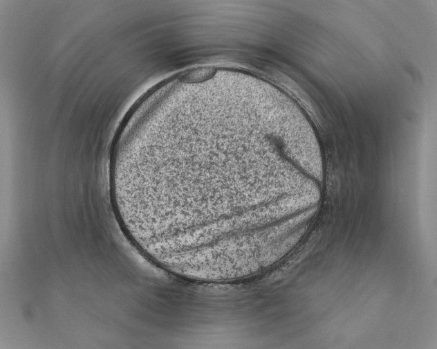X0000110941092200907171603