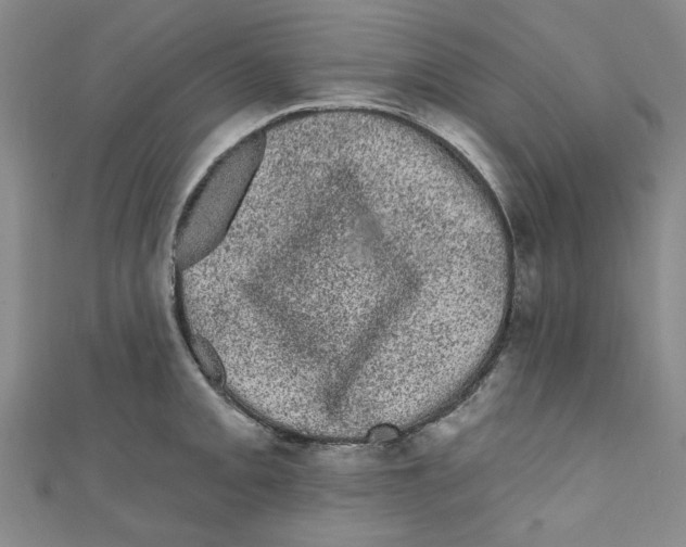 X0000110941093200907171603