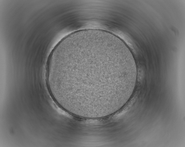 X0000110941094200907171603