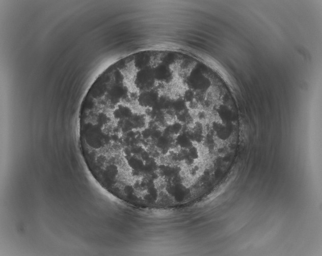 X0000110941095200907171603