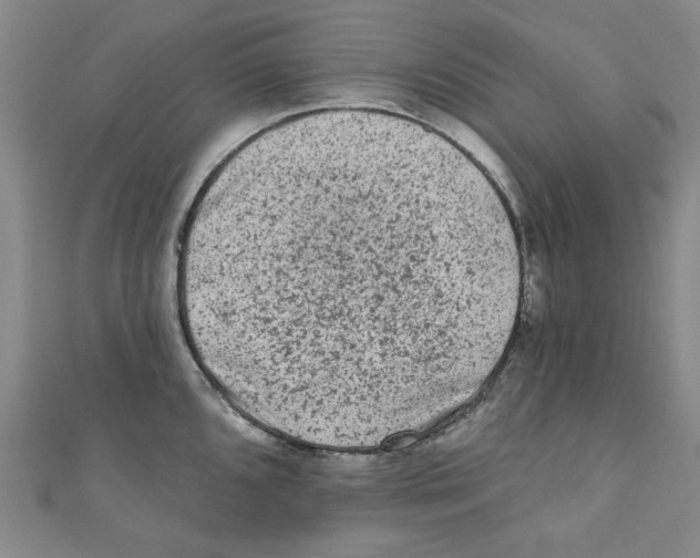 X0000110941096200907171603