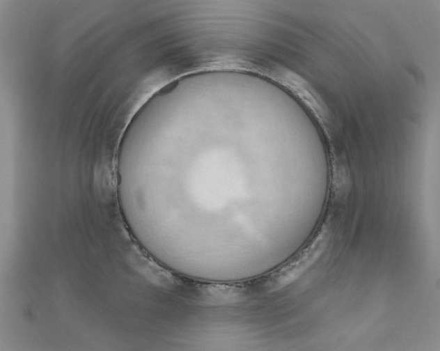 X0000110941097200907171603