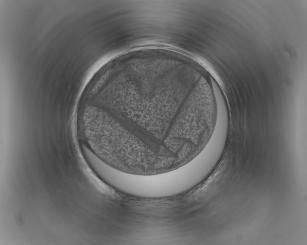 X0000110941098200907171603