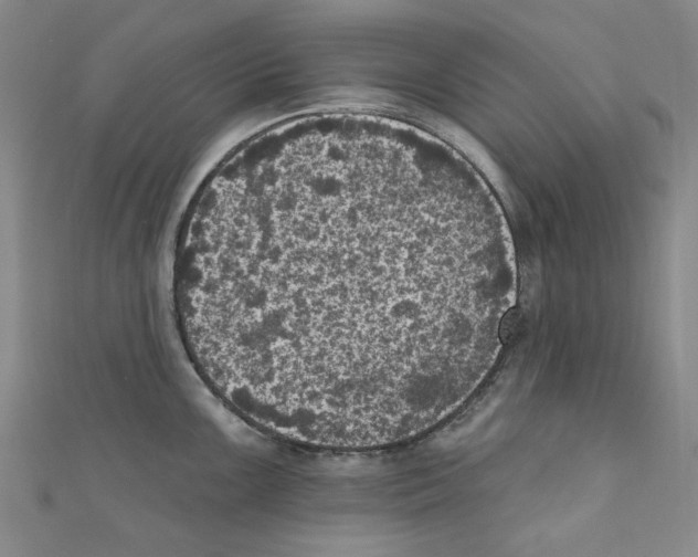 X0000110941099200907171603