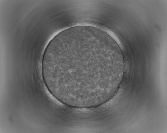 X0000110941100200907171603
