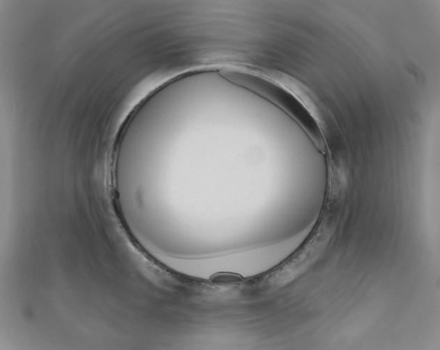 X0000110941101200907171603