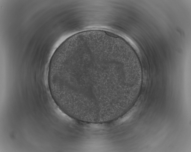 X0000110941102200907171603